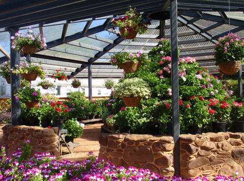 Geelong Botanic Gardens - Attractions 1
