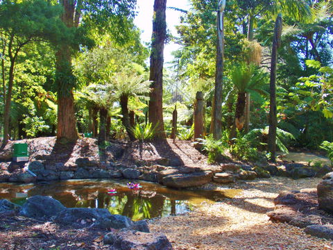 Geelong Botanic Gardens - Attractions 2