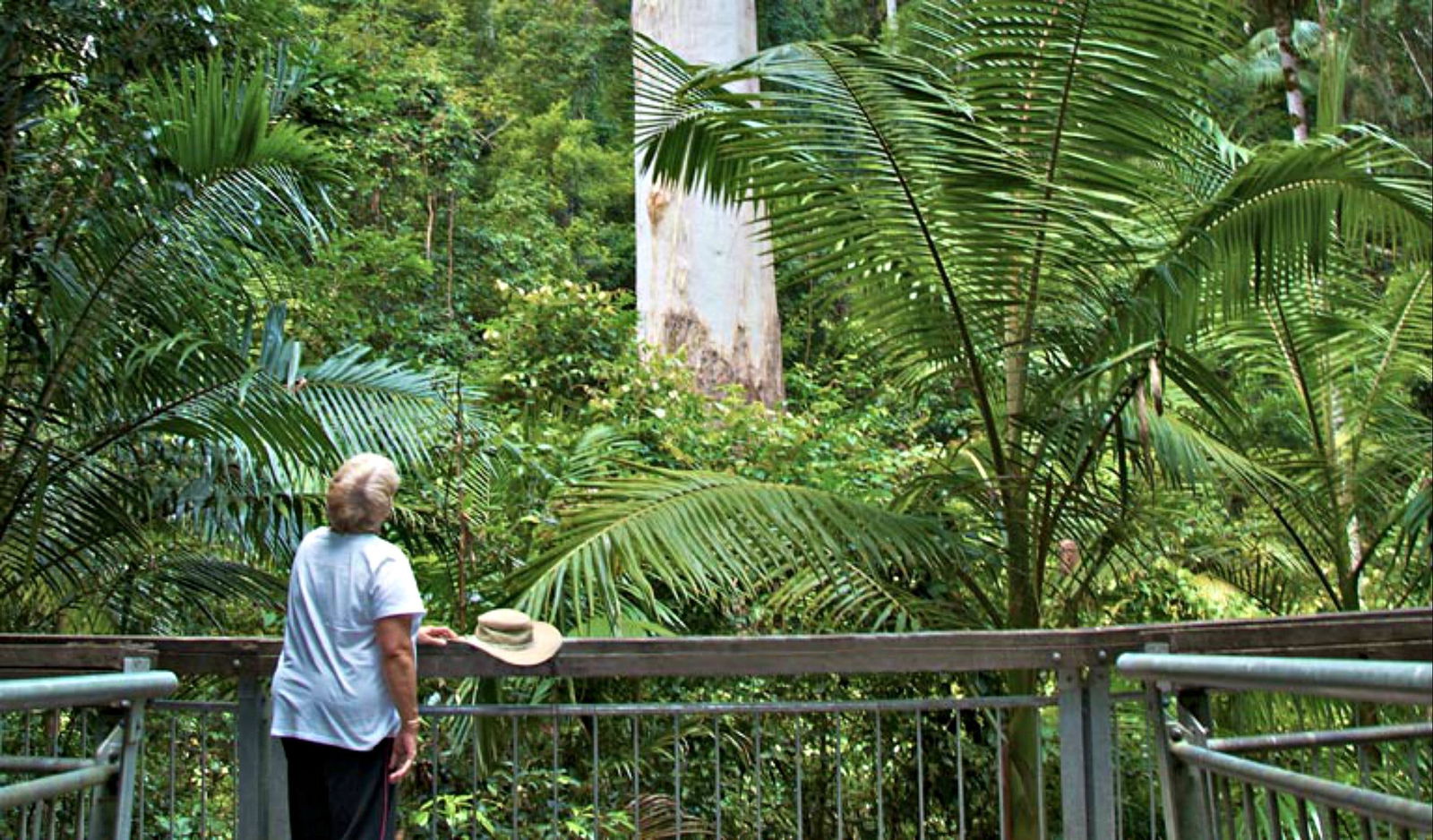Boolambayte NSW Attractions