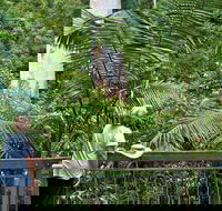 Grandis Picnic Area - Attractions