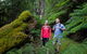 Grand Strzelecki Track - thumb 0