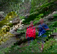 Grand Strzelecki Track - Attractions