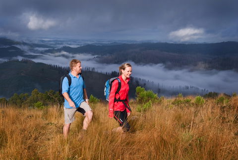 Grand Strzelecki Track - Attractions 1