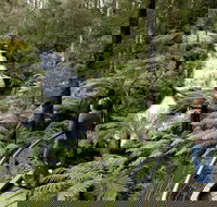 Great Otway National Park - Attractions