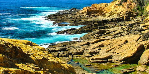 Gumnut Hideaway Gallery - Attractions 2