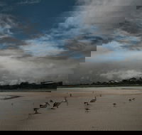 Hardwicke Bay - Attractions