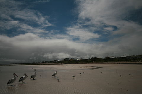 Hardwicke Bay - Attractions 0