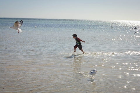 Hardwicke Bay - Attractions 1