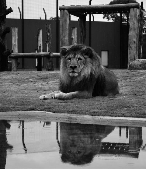 Hunter Valley Zoo - Attractions 0