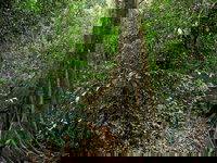 Iluka Nature Reserve