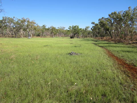 Jatbula Trail - Attractions 2