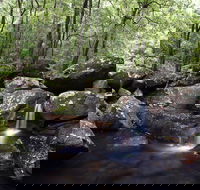 Kangaroo River - Attractions