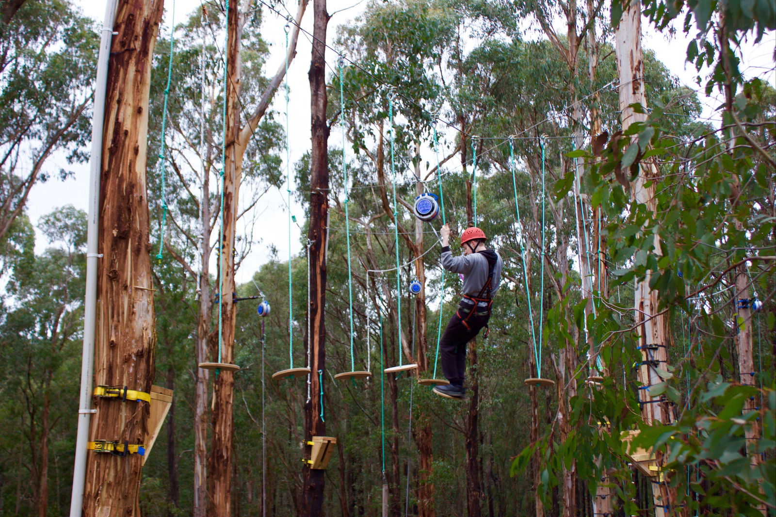 Kinglake West VIC Attractions