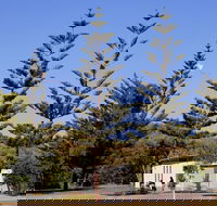 Kurrawa Park - Attractions