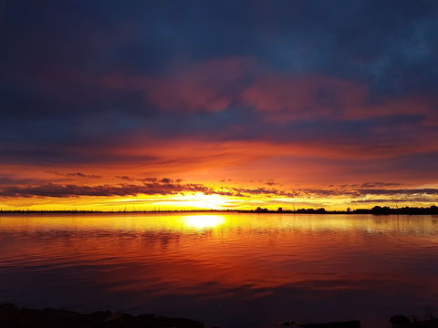 Lake Mulwala - Attractions 1