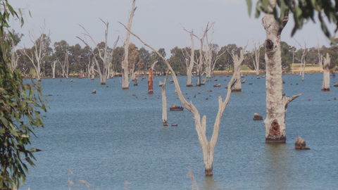 Lake Mulwala - Attractions 2