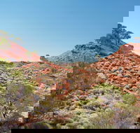 Lark Quarry Conservation Park - Attractions