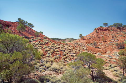 Lark Quarry Conservation Park - Attractions 0