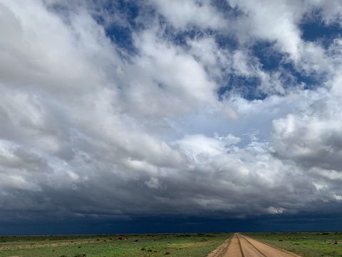 Long Paddock - Cobb Highway Touring Route - Attractions 1