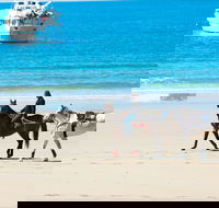 Mackay Harbour Beach - Attractions