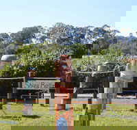 Maryboroughs Bollards - Attractions