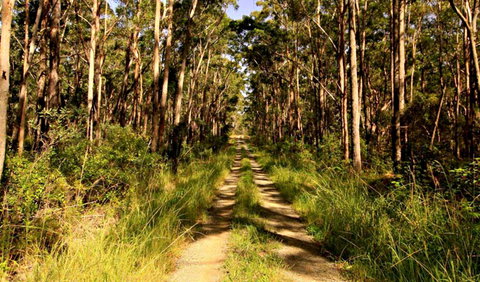 Mining Road Fire Trail, Old Gibber Road Rire Trail - Attractions 0