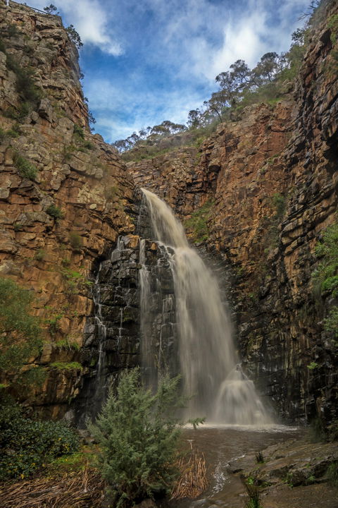 Morialta Conservation Park - Attractions 0