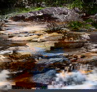 Mothar Mountain Rockpools - Attractions