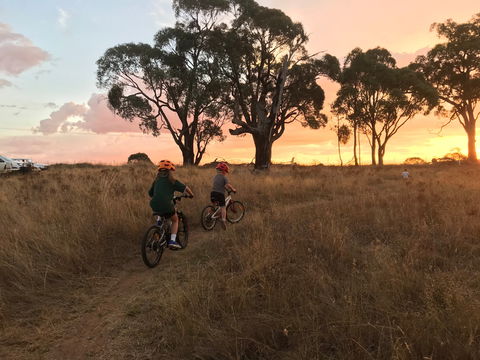 Mountain Bike Trails Tumbarumba - Attractions 2
