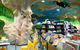 Mount Gambier Library - thumb 2