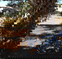Murchison Rail Trail - Attractions