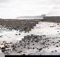 Mushroom Reef Beach - Attractions
