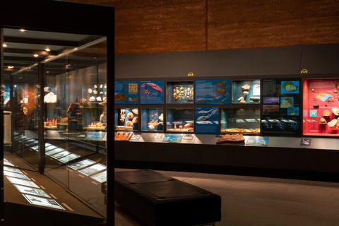 Museum Of Central Australia - Attractions 0