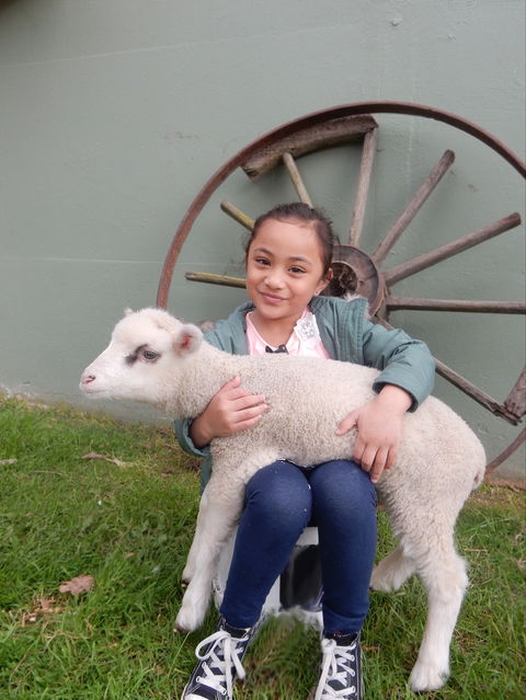 Myuna Farm - Attractions 0