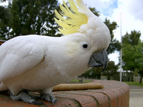 Myuna Farm - Attractions 1
