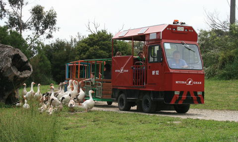 Myuna Farm - Attractions 2