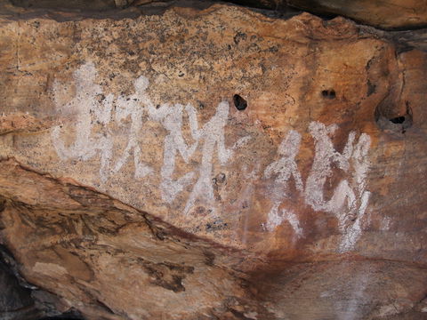 Ngamadjidj Shelter - Wartook Valley - Attractions 0