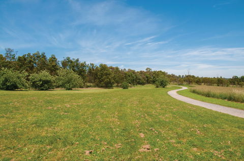 Nortons Park - Attractions 1