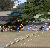 Nowra Croquet Club - Attractions