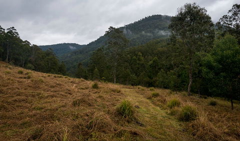 Nowendoc National Park - Attractions 0