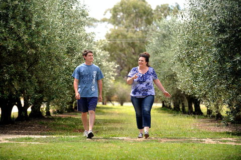 Olives Of Beaulieu - Attractions 0