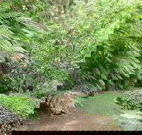 Pirianda Gardens - Attractions