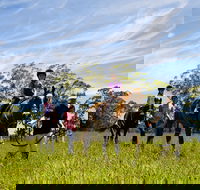 Port Macquarie Horse Riding Centre - Attractions