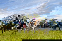 Port Macquarie Horse Riding Centre