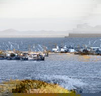 Portarlington - Attractions