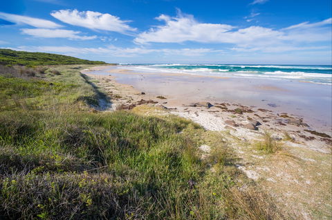 Racecourse Beach: Bawley Point - Attractions 0