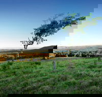 Ravensbourne National Park - Attractions