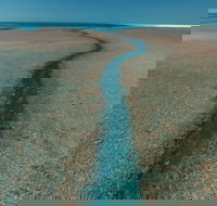 Rowley Shoals - Attractions