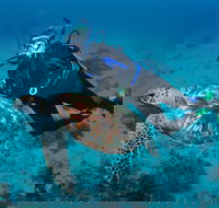 Second Reef Dive Site - Attractions