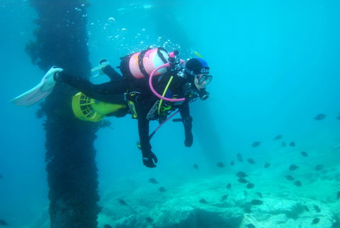 Shellharbour Scuba  And Photography Centre - Attractions Las Vegas 0